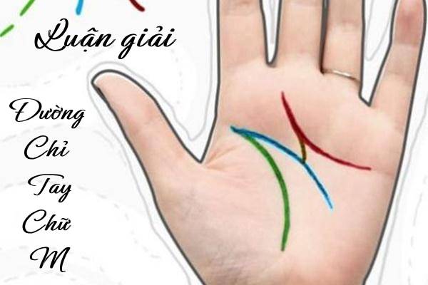 đường chỉ tay chữ M