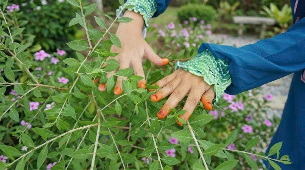 Những Phong Tục Truyền Thống Khác Trong Tết Đoan Ngọ