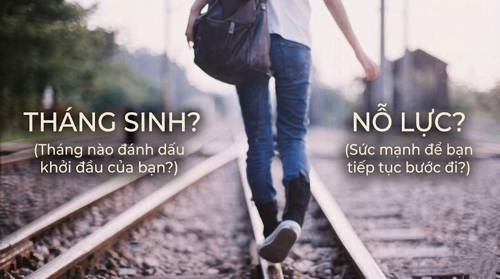 Vận Mệnh Do Tháng Sinh Hay Do Nỗ Lực Cá Nhân Quyết Định